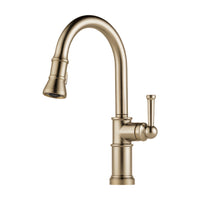 Brizo Artesso Single Handle Pull-Down Kitchen Faucet | 63025LF-GL | ROBINSON Lighting & Bath