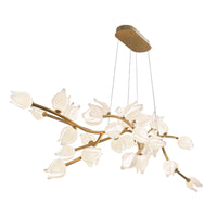 BELLUNO OVAL LED CHANDELIER (MULTIPLE SIZES) - robinsonco.ca