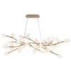 BELLUNO OVAL LED CHANDELIER (MULTIPLE SIZES) - robinsonco.ca