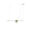 PALMA 2700K LED PENDANT LIGHT, 3734 - robinsonco.ca