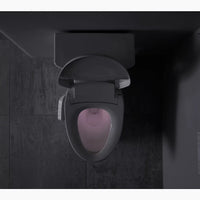 PUREWASH® E700 ELONGATED BIDET TOILET SEAT WITH REMOTE CONTROL - robinsonco.ca