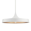 ELIAS CONVERTIBLE LED SEMI FLUSH/ PENDANT LIGHT (SHALLOW SHADE) - robinsonco.ca