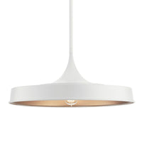 ELIAS CONVERTIBLE LED SEMI FLUSH/ PENDANT LIGHT (SHALLOW SHADE) - robinsonco.ca