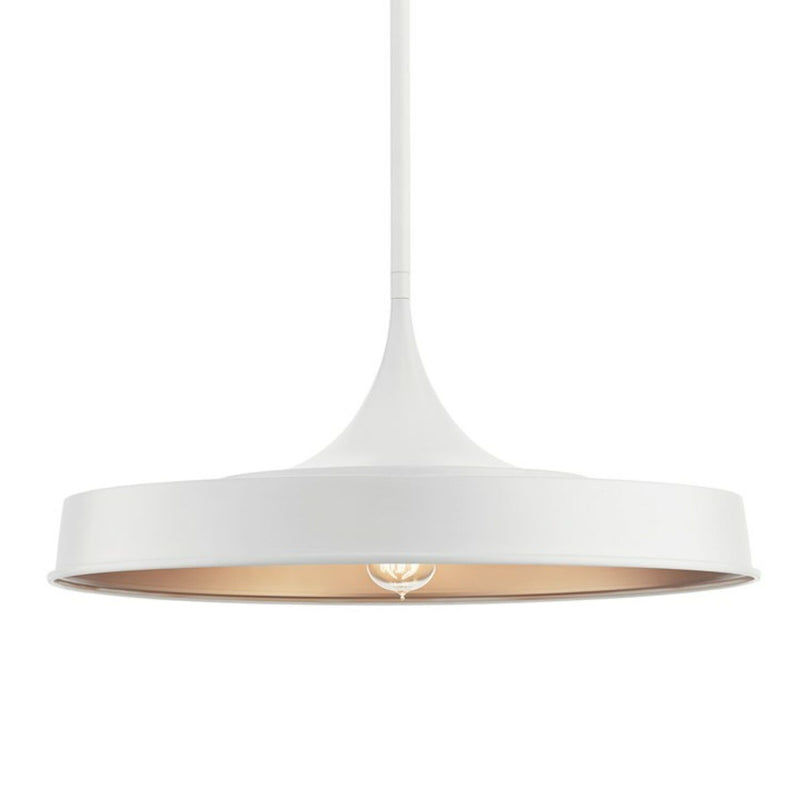 ELIAS CONVERTIBLE LED SEMI FLUSH/ PENDANT LIGHT (SHALLOW SHADE) - robinsonco.ca