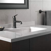 TRINSIC® SINGLE HANDLE BATHROOM FAUCET - robinsonco.ca