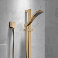 DRYDEN PREMIUM SINGLE-SETTING SLIDE BAR HANDSHOWER - robinsonco.ca
