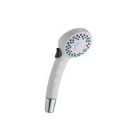 FUNDAMENTALS 2-SETTING HAND SHOWER - robinsonco.ca