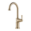 Brizo 61025LF-GL | ROBINSON Lighting & Bath