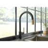 LITZE® PULL-DOWN FAUCET WITH ARC SPOUT AND KNURLED HANDLE - robinsonco.ca
