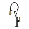 LITZE® SMARTTOUCH® ARTICULATING FAUCET WITH FINISHED HOSE - robinsonco.ca