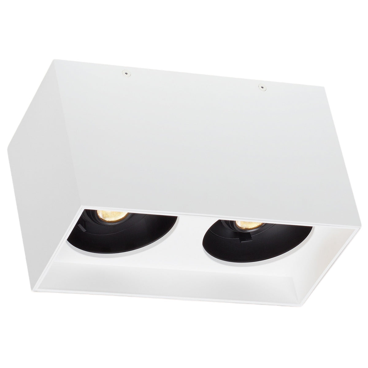 EXO DUAL CEILING - robinsonco.ca