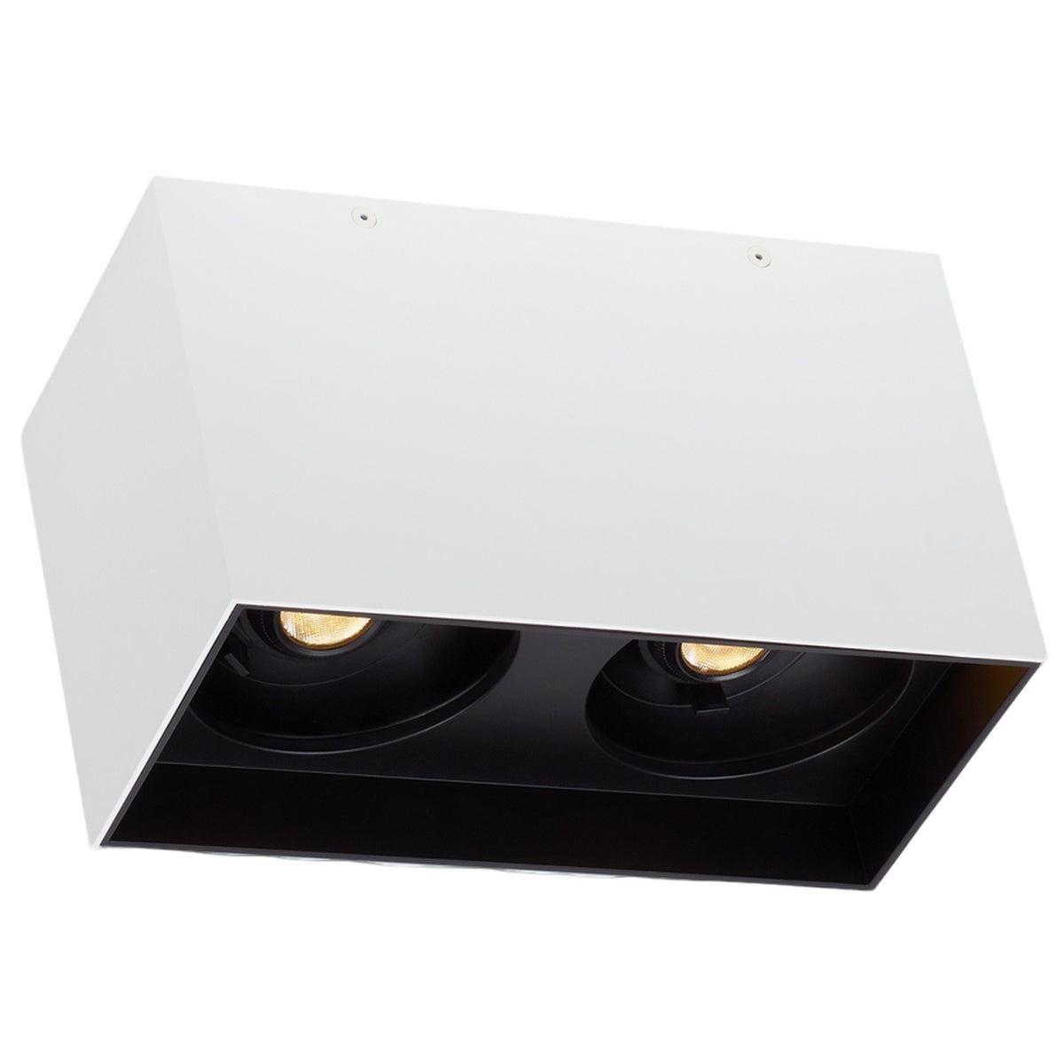 EXO DUAL CEILING - robinsonco.ca