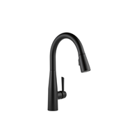 ESSA SINGLE HANDLE PULL-DOWN KITCHEN FAUCET - robinsonco.ca