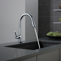 ESSA SINGLE HANDLE PULL DOWN KITCHEN FAUCET WITH TOUCH2O TECHNOLOGY - robinsonco.ca