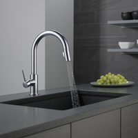 TRINSIC® SINGLE HANDLE PULL-DOWN KITCHEN FAUCET - robinsonco.ca