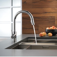 TRINSIC® SINGLE HANDLE PULL-DOWN KITCHEN FAUCET - robinsonco.ca