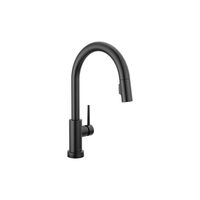 TRINSIC® VOICEIQ SINGLE-HANDLE PULL-DOWN KITCHEN FAUCET TOUCH2O - robinsonco.ca