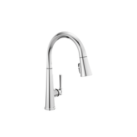 EMMELINE SHIELDSPRAY PULL-DOWN KITCHEN FAUCET 1L - robinsonco.ca