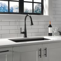 EMMELINE TOUCH 2O PULL-DOWN KICHEN FAUCET 1L W/SHIELDSPRAY - robinsonco.ca