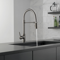 TRINSIC® SINGLE HANDLE PULL-DOWN KITCHEN FAUCET WITH SPRING SPOUT - robinsonco.ca