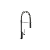 TRINSIC® SINGLE HANDLE PULL-DOWN KITCHEN FAUCET WITH SPRING SPOUT WITH TOUCH2O - robinsonco.ca