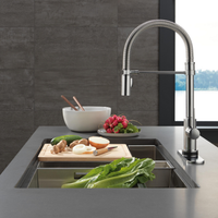 TRINSIC® SINGLE HANDLE PULL-DOWN KITCHEN FAUCET WITH SPRING SPOUT WITH TOUCH2O - robinsonco.ca