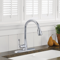 MARLEY SINGLE HANDLE PULL-DOWN KITCHEN FAUCET - robinsonco.ca