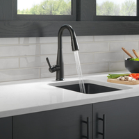 ESSA SINGLE HANDLE PULL-DOWN BAR/PREP FAUCET WITH TOUCH2O - robinsonco.ca