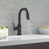TRINSIC® SINGLE HANDLE PULL-DOWN BAR/PREP FAUCET WITH TOUCH20 TECHNOLOGY - robinsonco.ca