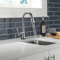 EMMELINE TOUCH2O PULL-DOWN BAR/PREP FAUCET 1L - robinsonco.ca