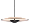 GINGER 42 PENDANT (TRIAC DIMMING) - robinsonco.ca