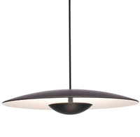 GINGER 42 PENDANT (TRIAC DIMMING) - robinsonco.ca