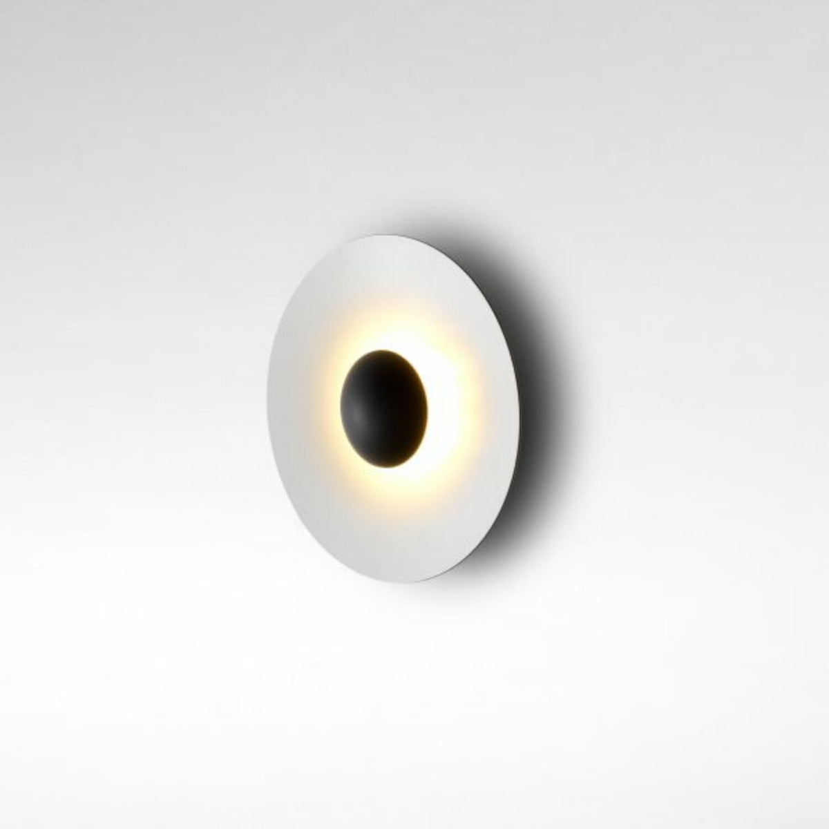 GINGER 32 C WALL/CEILING LIGHT - robinsonco.ca