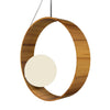 SFERA ACCORD 620 PENDANT - robinsonco.ca