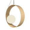 SFERA ACCORD 620 PENDANT - robinsonco.ca