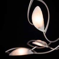 AERIAL 5LT CHANDELIER - robinsonco.ca