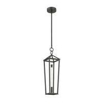 DELPHINE 1 LIGHT LED PENDANT - robinsonco.ca