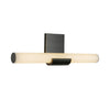 APOLLO 20-IN WALL/VANITY LIGHT - robinsonco.ca