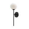 CASSIA 20-IN WALL/VANITY LIGHT (MULTIPLE OPTIONS) - robinsonco.ca