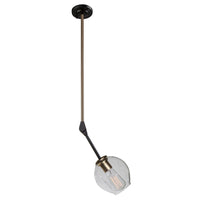 ORGANIC ONE LIGHT PENDANT - robinsonco.ca