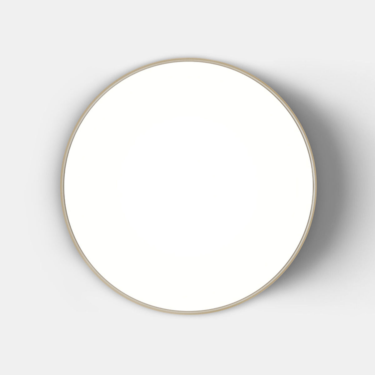 FEBE 2700K LED WALL/CEILING LIGHT, 0241W
