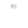 DIOSCURI 14 WALL/CEILING LAMP