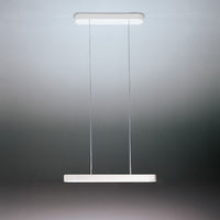TALO 120 (48-INCH) 3000K LED LINEAR PENDANT LIGHT, 19241 - robinsonco.ca