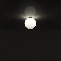DIOSCURI 14 WALL/CEILING LAMP - robinsonco.ca