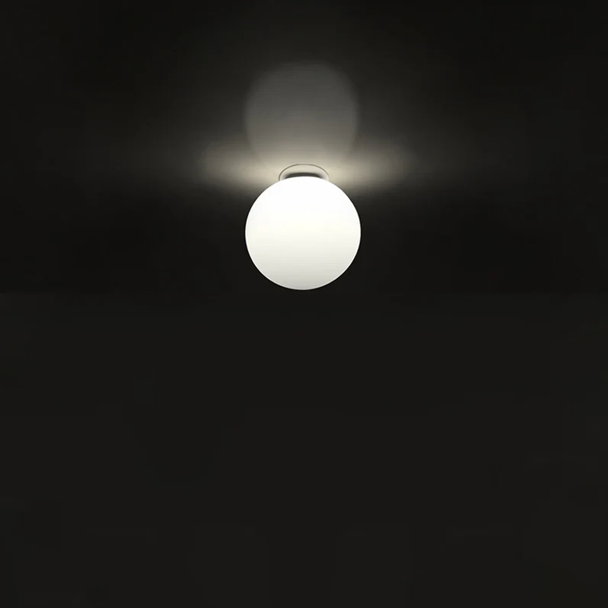 DIOSCURI 14 WALL/CEILING LAMP - robinsonco.ca
