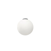 DIOSCURI 14 WALL/CEILING LAMP - robinsonco.ca