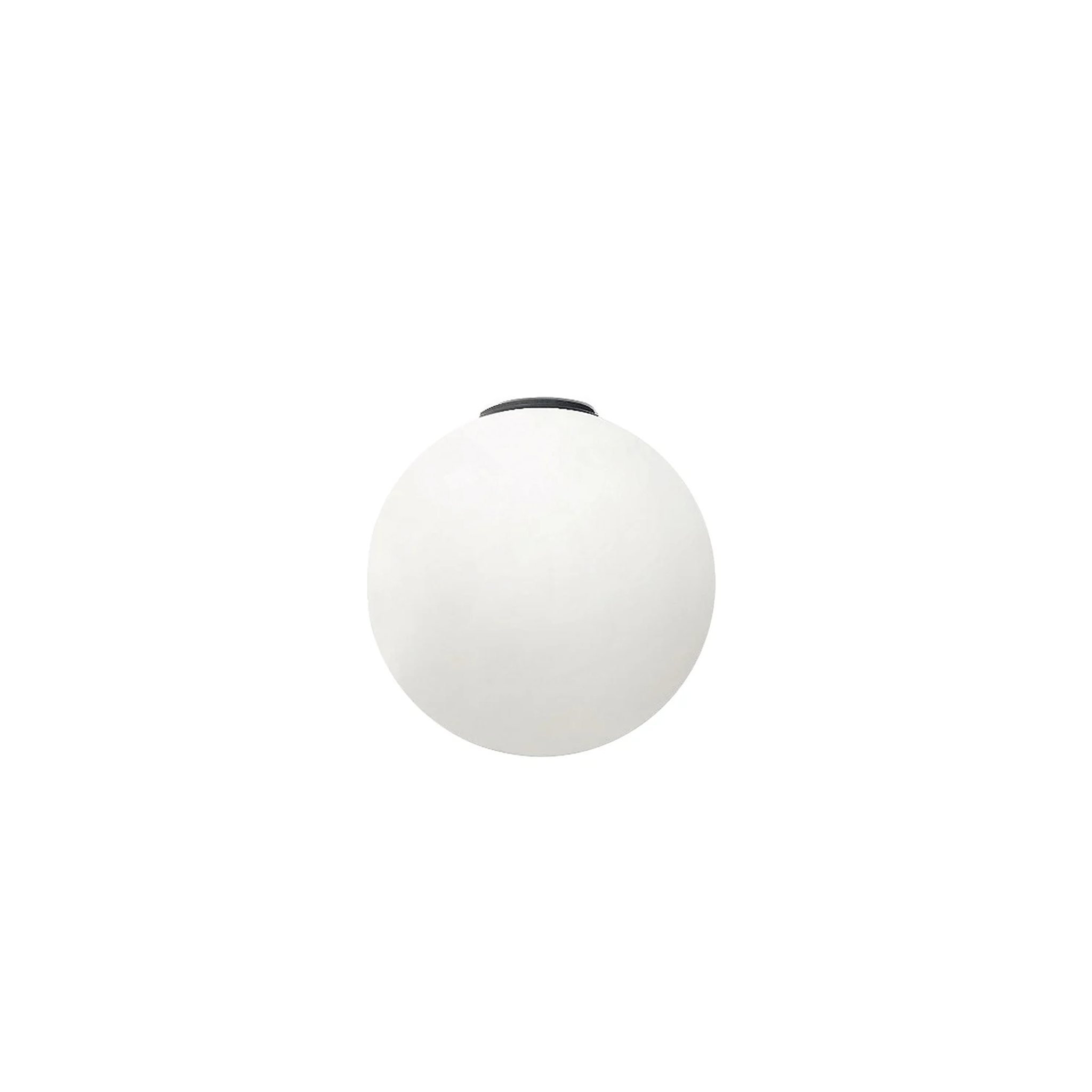 DIOSCURI 14 WALL/CEILING LAMP - robinsonco.ca
