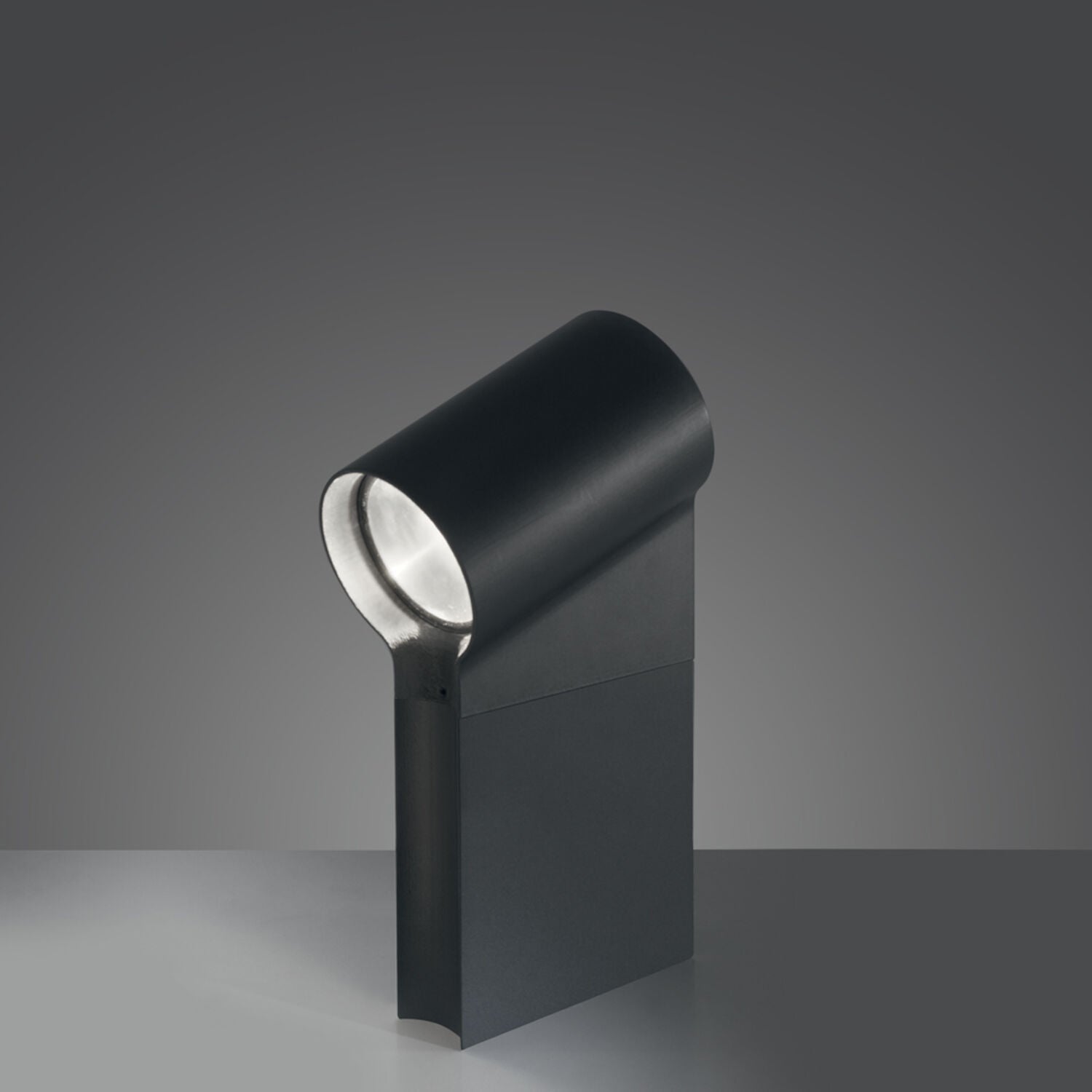 OBLIQUE 45 CLASSIC GROUND LIGHT