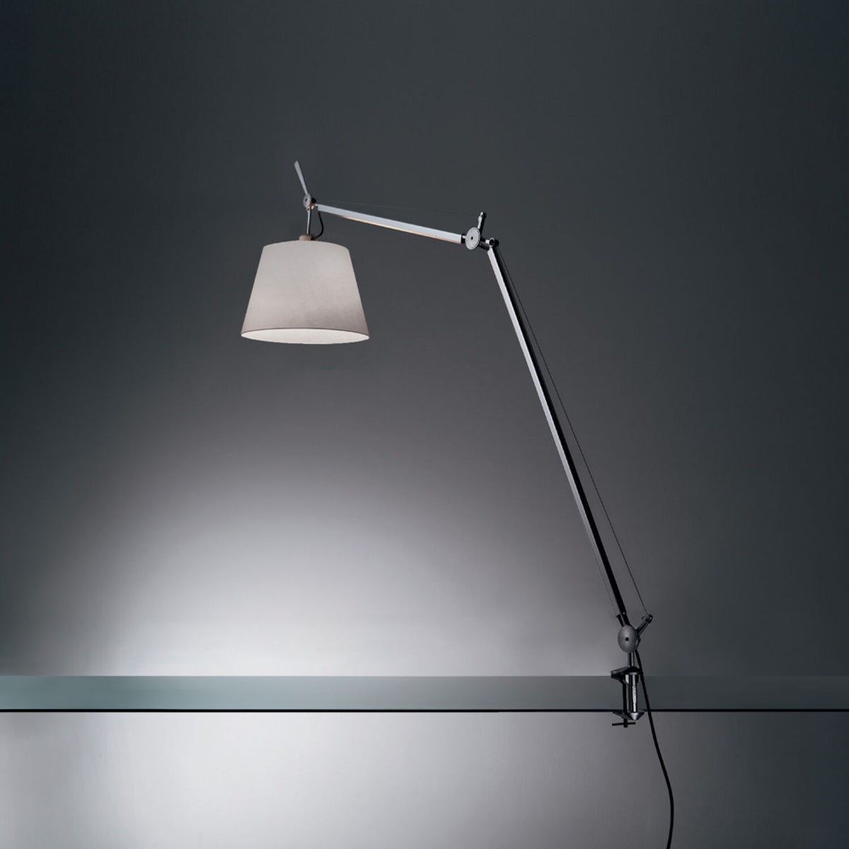 TOLOMEO TABLE LAMP WITH SHADE AND CLAMP - robinsonco.ca