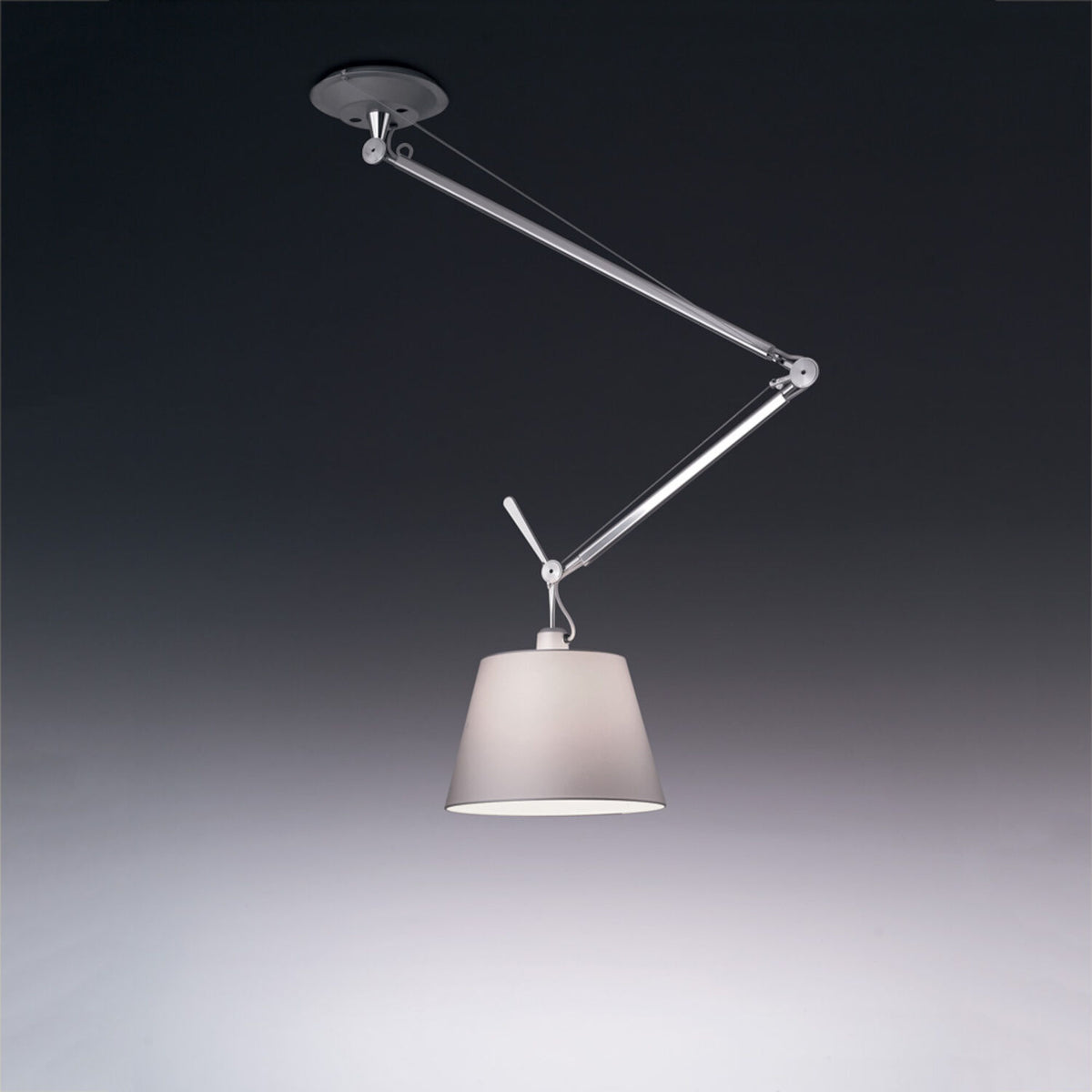 TOLOMEO OFF-CENTER SHADE SUSPENSION WITH 14-INCH DIFFUSER - robinsonco.ca